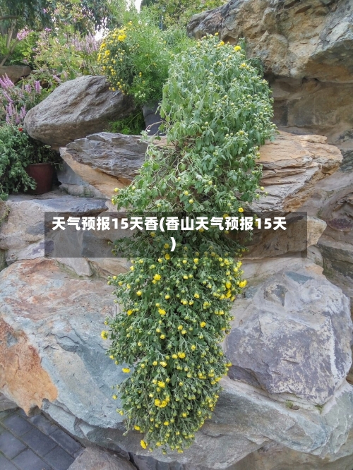 天气预报15天香(香山天气预报15天)