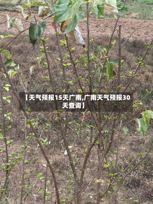 【天气预报15天广南,广南天气预报30天查询】