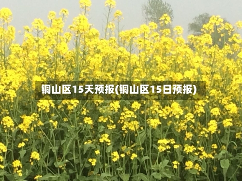 铜山区15天预报(铜山区15日预报)