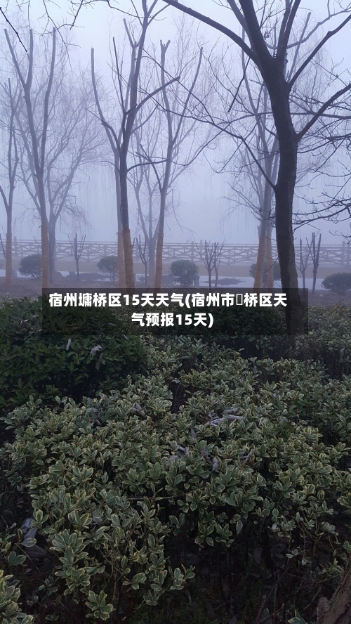 宿州墉桥区15天天气(宿州市埇桥区天气预报15天)