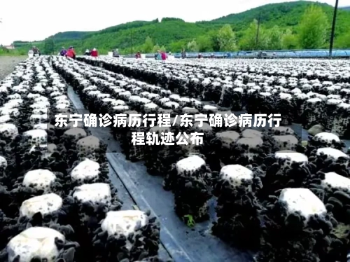东宁确诊病历行程/东宁确诊病历行程轨迹公布