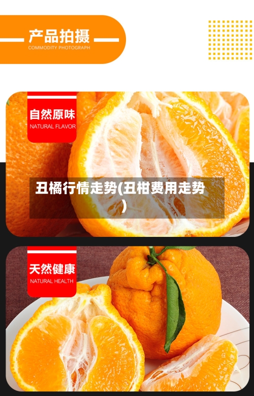 丑橘行情走势(丑柑费用走势)