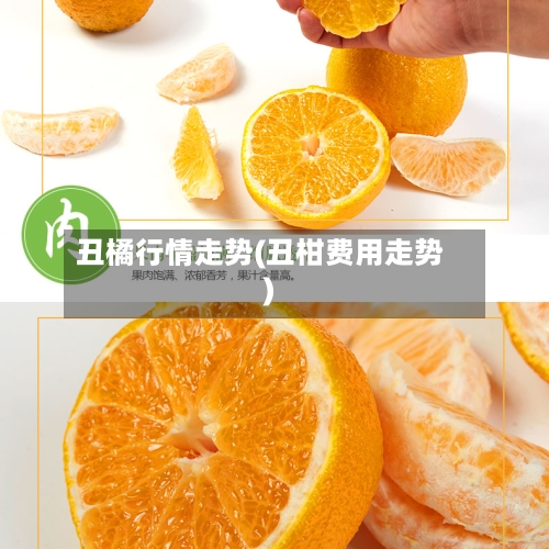 丑橘行情走势(丑柑费用走势)