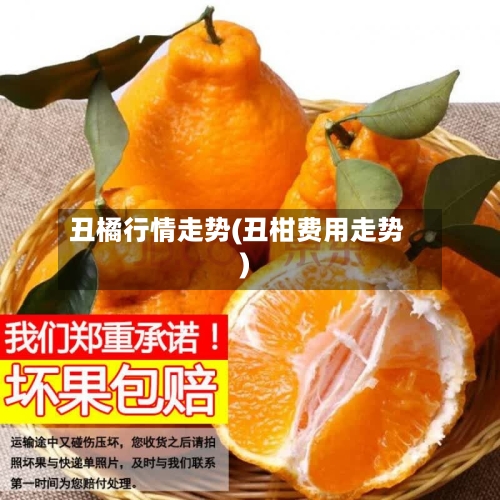 丑橘行情走势(丑柑费用走势)