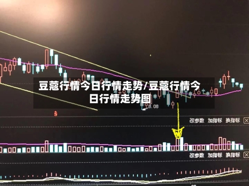 豆蔻行情今日行情走势/豆蔻行情今日行情走势图