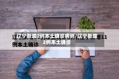 辽宁新增2例本土确诊病例/辽宁新增2例本土确诊