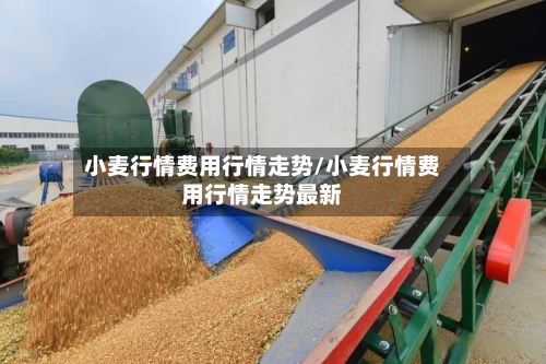 小麦行情费用行情走势/小麦行情费用行情走势最新