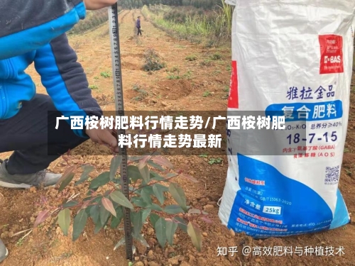 广西桉树肥料行情走势/广西桉树肥料行情走势最新