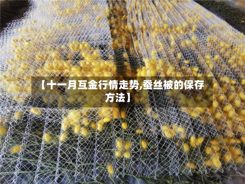 【十一月互金行情走势,蚕丝被的保存方法】