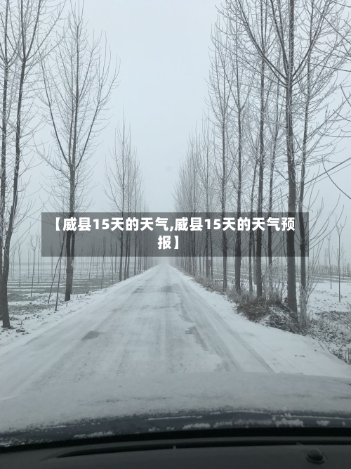 【威县15天的天气,威县15天的天气预报】