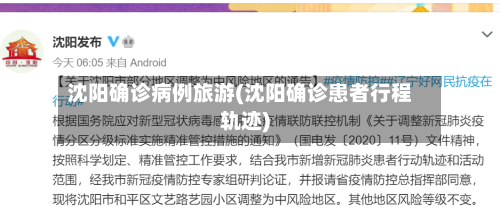 沈阳确诊病例旅游(沈阳确诊患者行程轨迹)