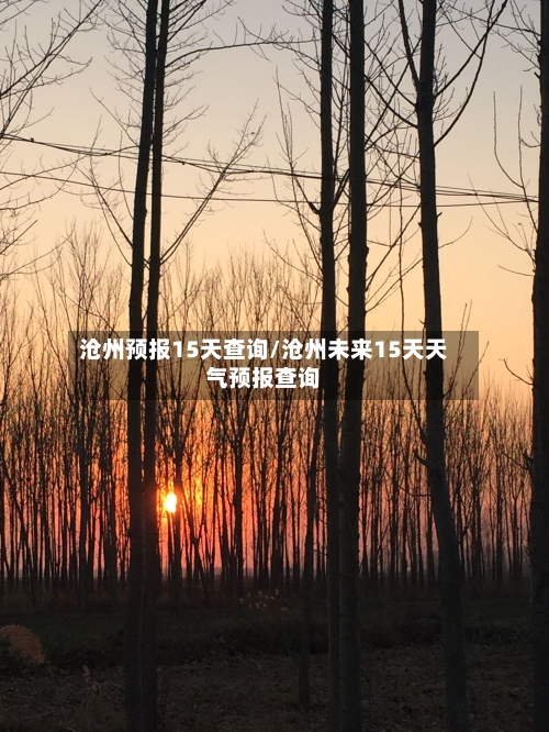 沧州预报15天查询/沧州未来15天天气预报查询