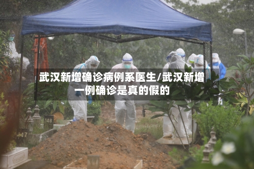 武汉新增确诊病例系医生/武汉新增一例确诊是真的假的