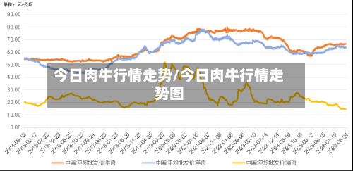 今日肉牛行情走势/今日肉牛行情走势图