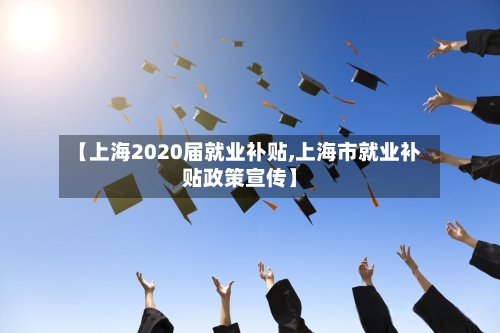 【上海2020届就业补贴,上海市就业补贴政策宣传】