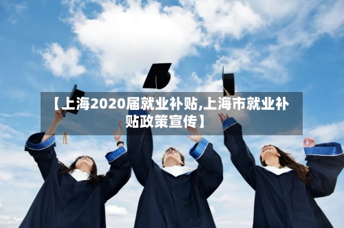 【上海2020届就业补贴,上海市就业补贴政策宣传】