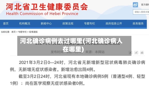河北确诊病例去过哪里(河北确诊病人在哪里)