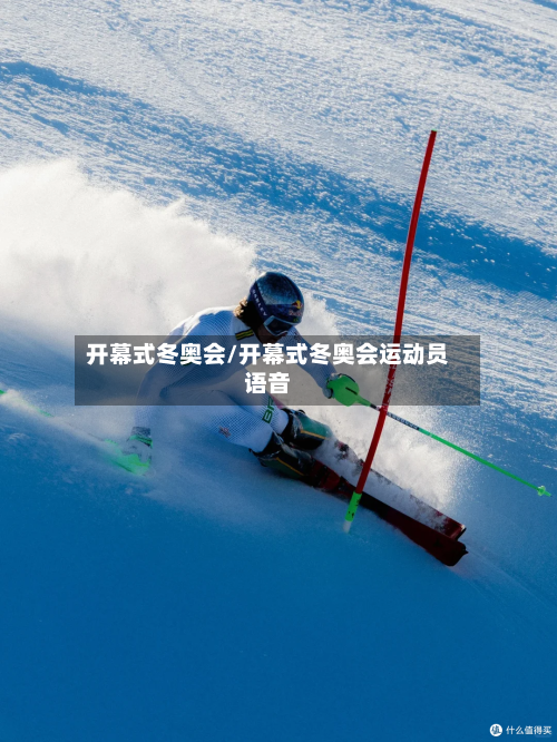 开幕式冬奥会/开幕式冬奥会运动员语音