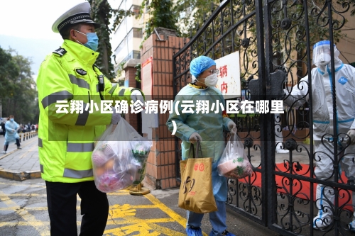 云翔小区确诊病例(云翔小区在哪里)