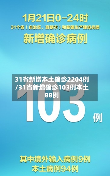 31省新增本土确诊2204例/31省新增确诊103例本土88例