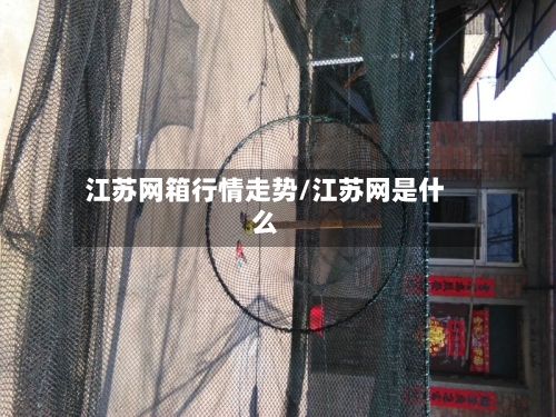 江苏网箱行情走势/江苏网是什么