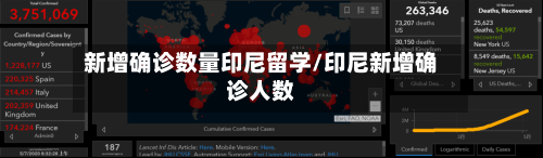 新增确诊数量印尼留学/印尼新增确诊人数