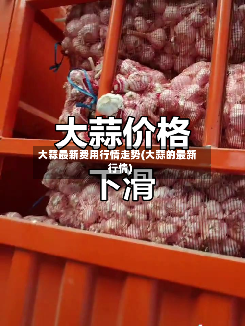 大蒜最新费用行情走势(大蒜的最新行情)