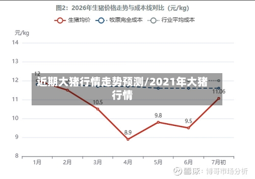 近期大猪行情走势预测/2021年大猪行情