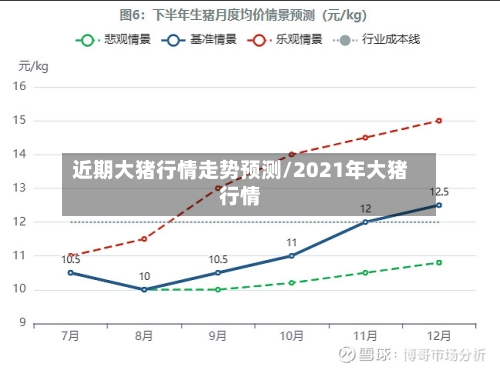 近期大猪行情走势预测/2021年大猪行情