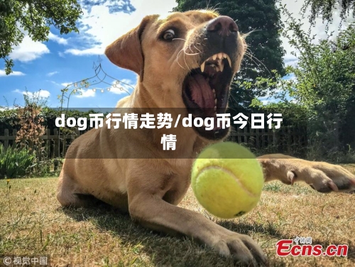 dog币行情走势/dog币今日行情
