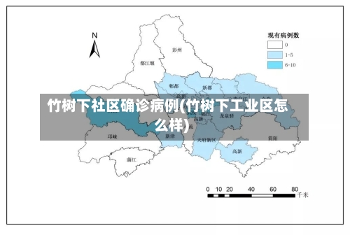 竹树下社区确诊病例(竹树下工业区怎么样)