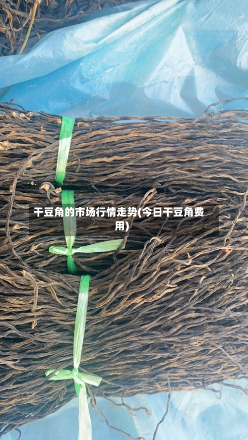 干豆角的市场行情走势(今日干豆角费用)