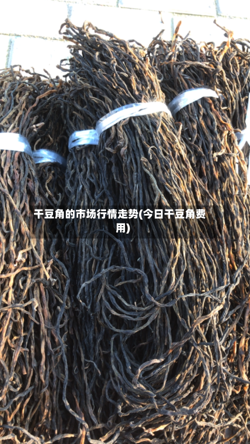 干豆角的市场行情走势(今日干豆角费用)