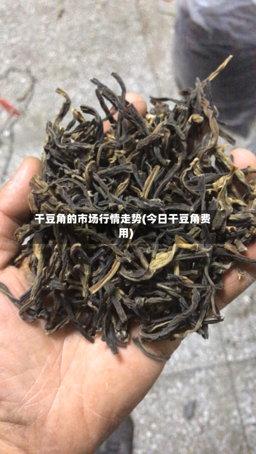 干豆角的市场行情走势(今日干豆角费用)
