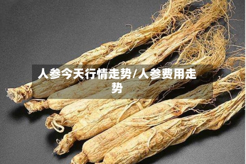 人参今天行情走势/人参费用走势