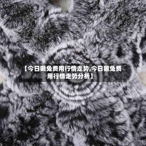 【今日獭兔费用行情走势,今日獭兔费用行情走势分析】