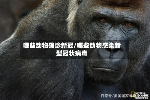 哪些动物确诊新冠/哪些动物感染新型冠状病毒