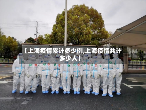 【上海疫情累计多少例,上海疫情共计多少人】