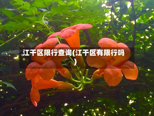 江干区限行查询(江干区有限行吗)