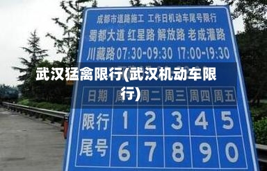 武汉猛禽限行(武汉机动车限行)