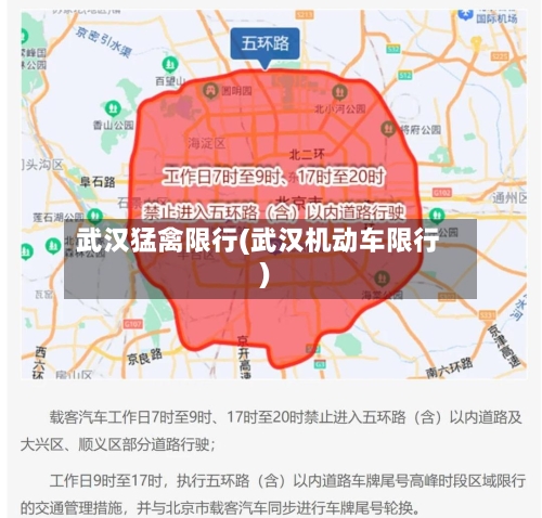武汉猛禽限行(武汉机动车限行)