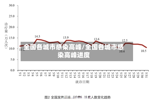 全国各城市感染高峰/全国各城市感染高峰进度