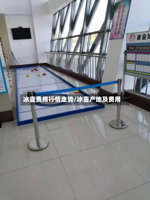 冰壶费用行情走势/冰壶产地及费用