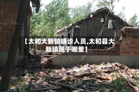 【太和大新镇确诊人员,太和县大新镇属于哪里】