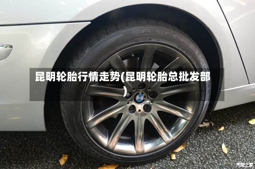 昆明轮胎行情走势(昆明轮胎总批发部)