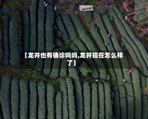 【龙井也有确诊吗吗,龙井现在怎么样了】