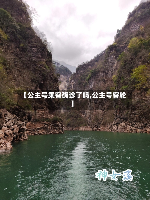 【公主号乘客确诊了吗,公主号客轮】