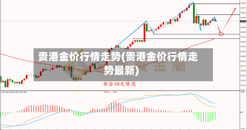 贵港金价行情走势(贵港金价行情走势最新)