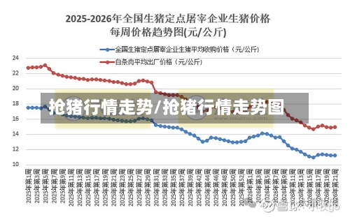 抢猪行情走势/抢猪行情走势图