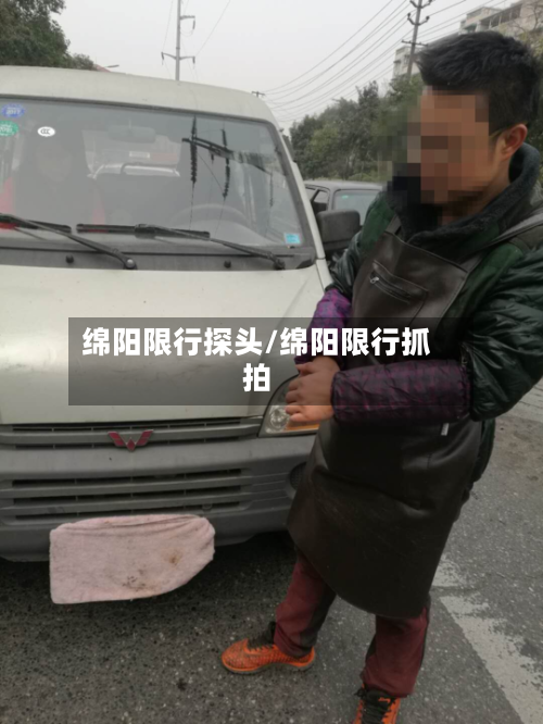 绵阳限行探头/绵阳限行抓拍